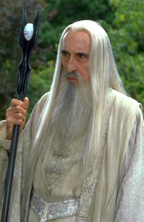 Saruman - Saruman Photo (20940151) - Fanpop