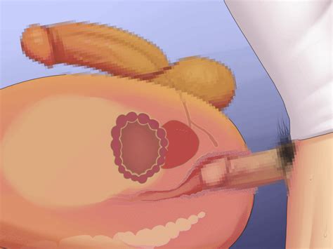 Ascaris Cross Section Labeled Hot Sex Picture