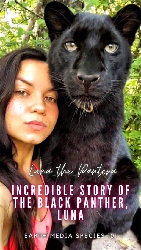 Incredible Story of the Black Panther, Luna | by YouTube | Earth Media ...