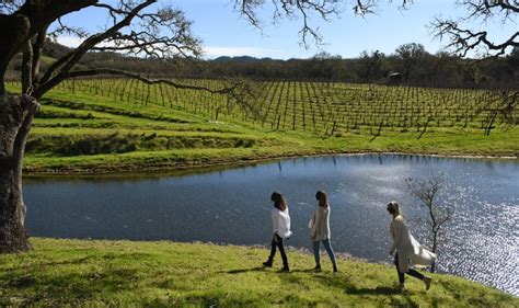 Best Winery Gardens In Healdsburg Wine Country Table