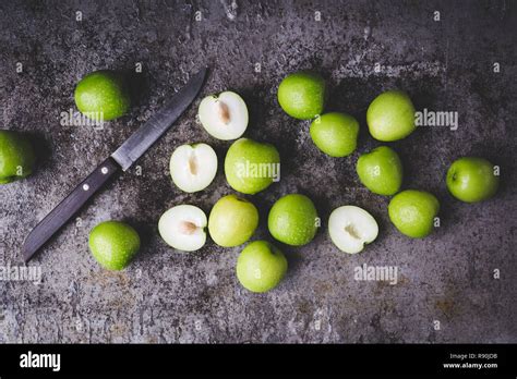 Indian Jujube Hi Res Stock Photography And Images Alamy