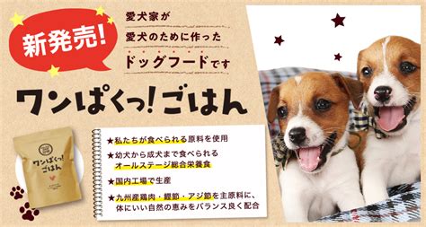 わんわんサプリ 犬用 サプリメント 150g ペットフード 栄養補完食 漢方 ランキング2022