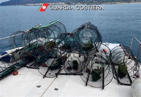 Pesca Illegale Al Porto Di Vibo Maxi Rete Sequestrata Sanzioni Per 6