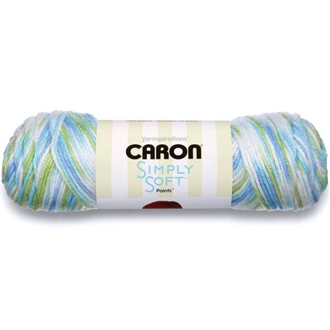 Caron Simply Soft Paints Yarn 141g5oz Funny Boy