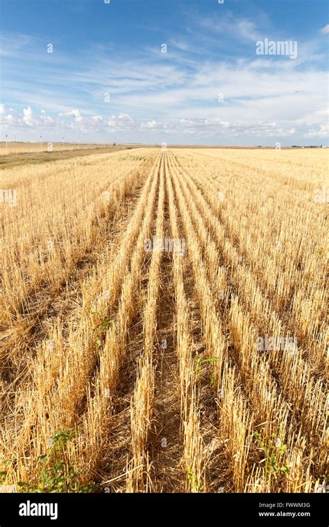 Swift Current Saskatchewan Hi Res Stock Photography And Images Alamy