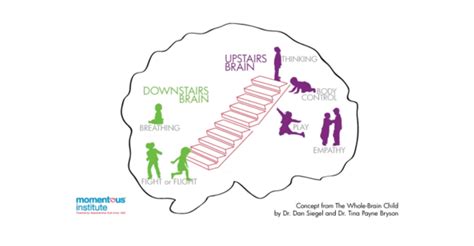 Self Regulation Toolkit