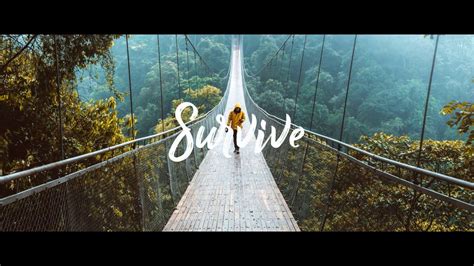 Thimlife Survive Ft Brenton Mattheus Sub Espanol Lyrics YouTube