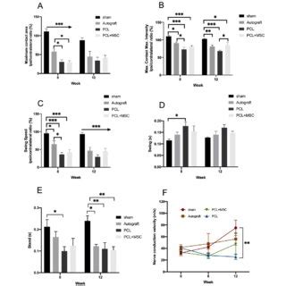 Representative Micrographs Of Bdnf Immunolabeling On Sciatic Nerve At