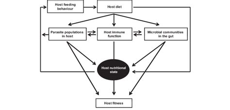 Inter Relationship Between Host Nutrition Host Immune Function