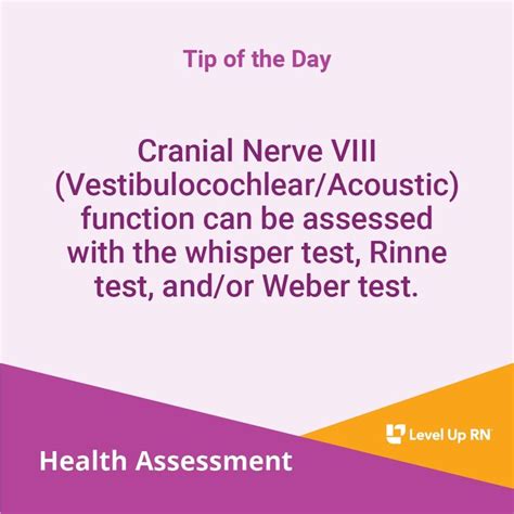 Cranial Nerve Viii Function Assessment Cranial Nerves Assessment Nclex Prep