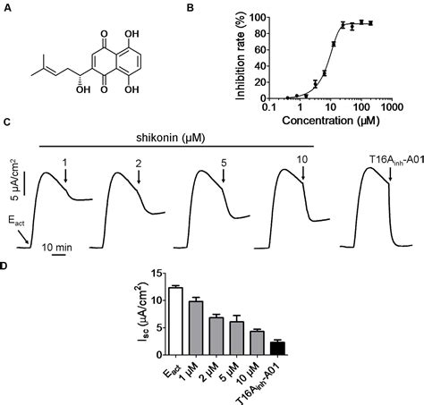 Frontiers Shikonin Inhibits Intestinal Calcium Activated Chloride