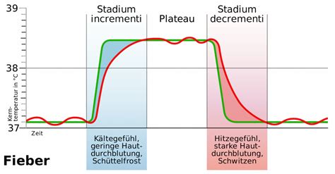 Fieber Febris Medizin Lexikon Online Lernen Mit Lecturio