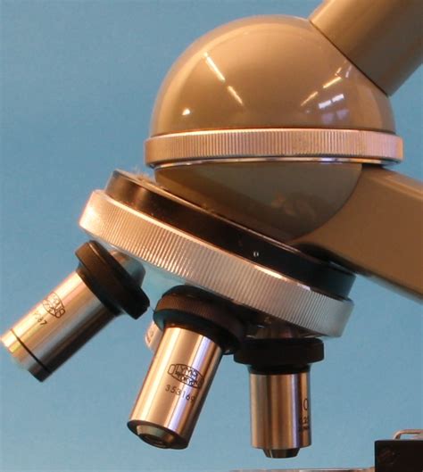 Compound Achromatic Microscope Stand Ec Stichting Voor Historische