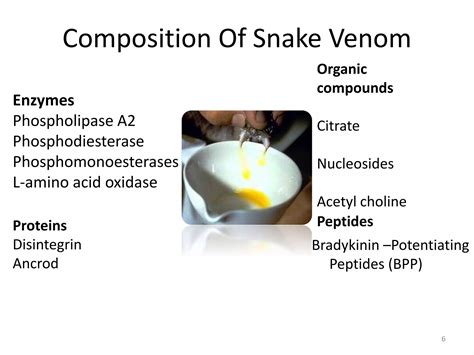Medicinal Uses of Snake Venom | PPTX
