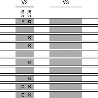 Importance Of The V Region Of The B Domain Of Orangutan Trim