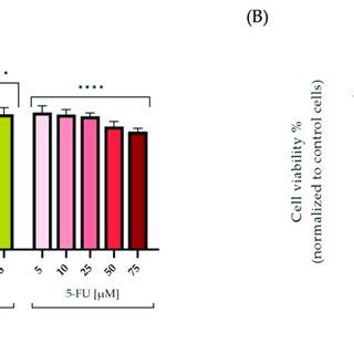 In Vitro Assessment Of The Cytotoxic Effects At The Level Of HaCaT