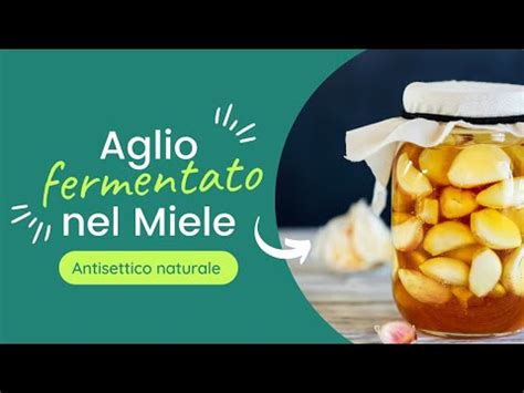 Aglio Fermentato Nel Miele Youtube