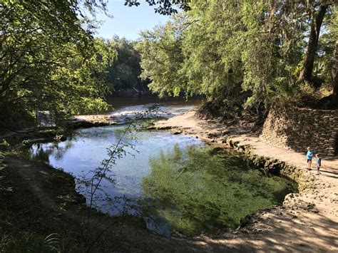 Lafayette Blue Springs State Park Magical Springs On Suwannee River