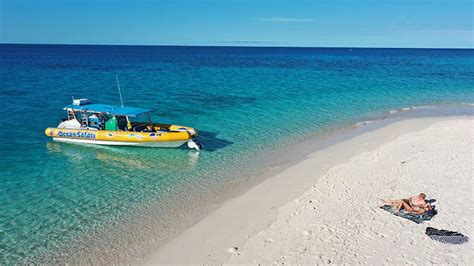 Great Barrier Reef Snorkelling Safari Morning Cape Tribulation Adrenaline