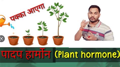 पादप हार्मोनप्लांट हार्मोनपादप हार्मोन क्या हैtypes Of Plant