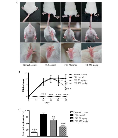 Protective Effects Of Fructus Sophorae Extract On Collagen Induced