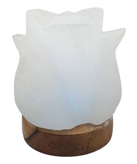 White Carved Salt Lamp – Emba Himalayan Salt Lamps