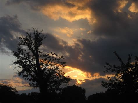 Free Images Tree Nature Cloud Sun Sunrise Sunset Field