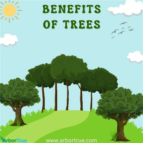 Benefits Of Trees