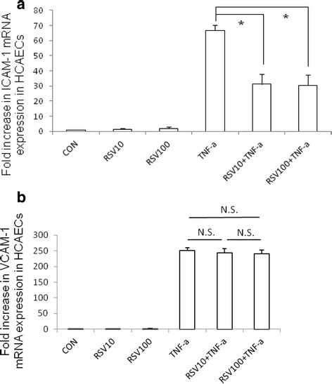 The Effect Of Rsv On Tnf Induced Icam And Vcam Mrna Expression In