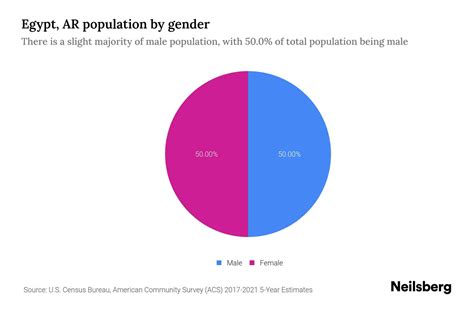 Egypt AR Population By Gender 2023 Egypt AR Gender Demographics