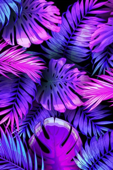 Purple And Blue Tropical Leaves On A Black Background