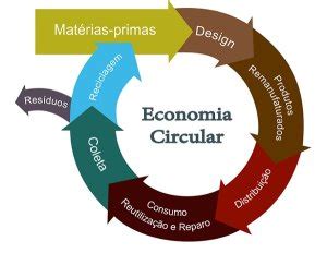 Os princípios da Economia Circular Conecta Verde