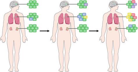 Classification Of Tumor Heterogeneity Temporal Heterogeneity Means Download Scientific Diagram