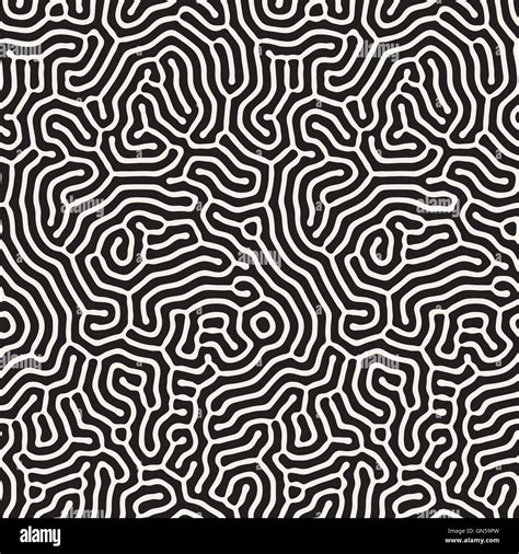 Vector Seamless Black And White Wavy Organic Rounded Line Maze Coral