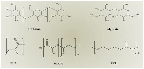 Polymers Free Full Text Polymeric Nanoparticles For Delivery Of