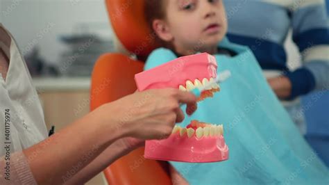 Pediatric Dentist Showing The Correct Dental Hygiene Using Mock Up Of