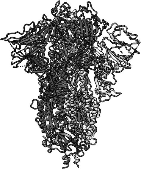 Image Of The Spike Protein Model That Students Will Use During Part 1