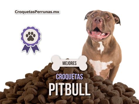 Mejores Croquetas Para Pitbull De 2023