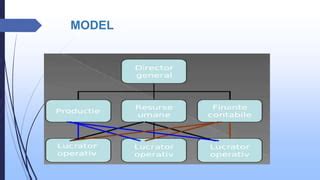 Tipuri De Structuri Organizatorice PPT