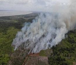 Sempat Nihil Hotspot Di Pulau Sumatera Muncul Lagi