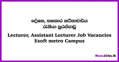 Assistant Lecturer Esoft Metro Campus Lecturer Job Vacancies