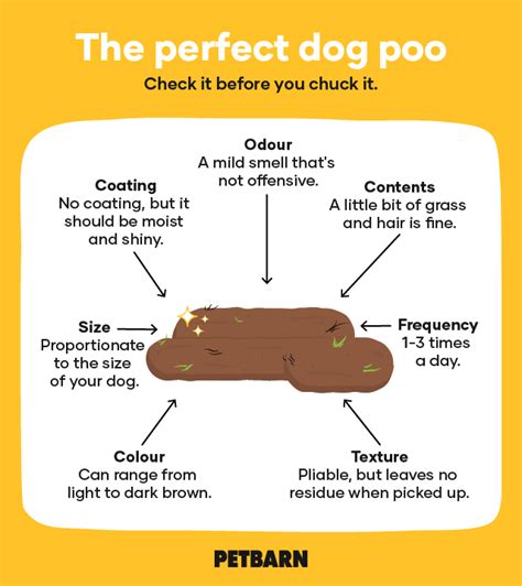 Dog Stool Colour Chart A Visual Reference Of Charts Chart Master