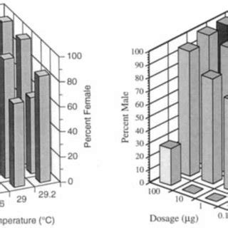 Pdf Temperature Dependent Sex Determination In Reptiles Proximate Mechanisms Ultimate