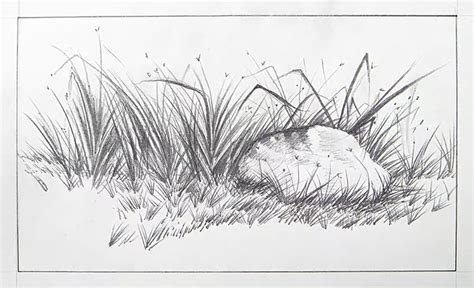 How To Draw Grass A Step By Step Drawing Guide In 2024 Grass Drawing Drawings Guided Drawing