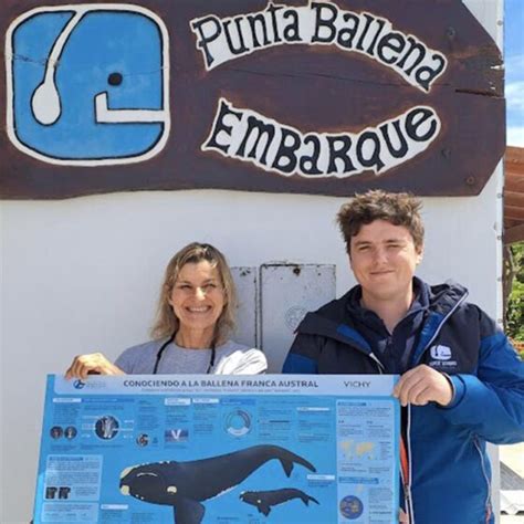 Conociendo A La Ballena Franca Austral Una Infograf A Sobre La