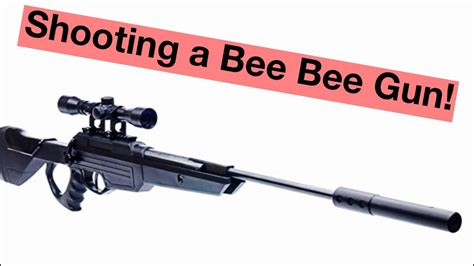 Shooting Bee Bee Gun Youtube