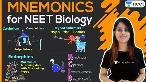 Neet 2021 Mnemonics Neet Biology Biology Mnemonics Neet 2022