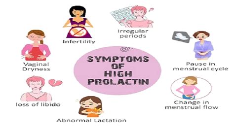 The Effects Of Elevated Prolactin Levels On Fertility And Possible