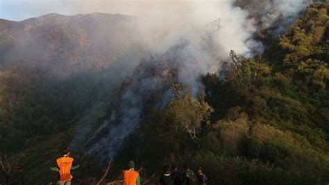 Foto Gunung Slamet Kebakaran Jalur Pendakian Ditutup