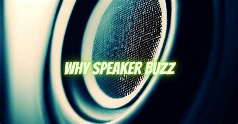 speaker buzz   turntables